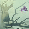 Blackfoot,J.D. Ultimate Prophecy CD