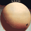 Egg Civil+Surface CD